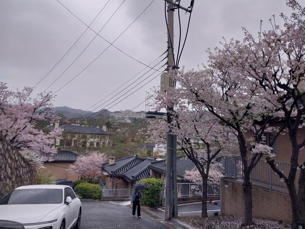 Seoul Private Tour - 