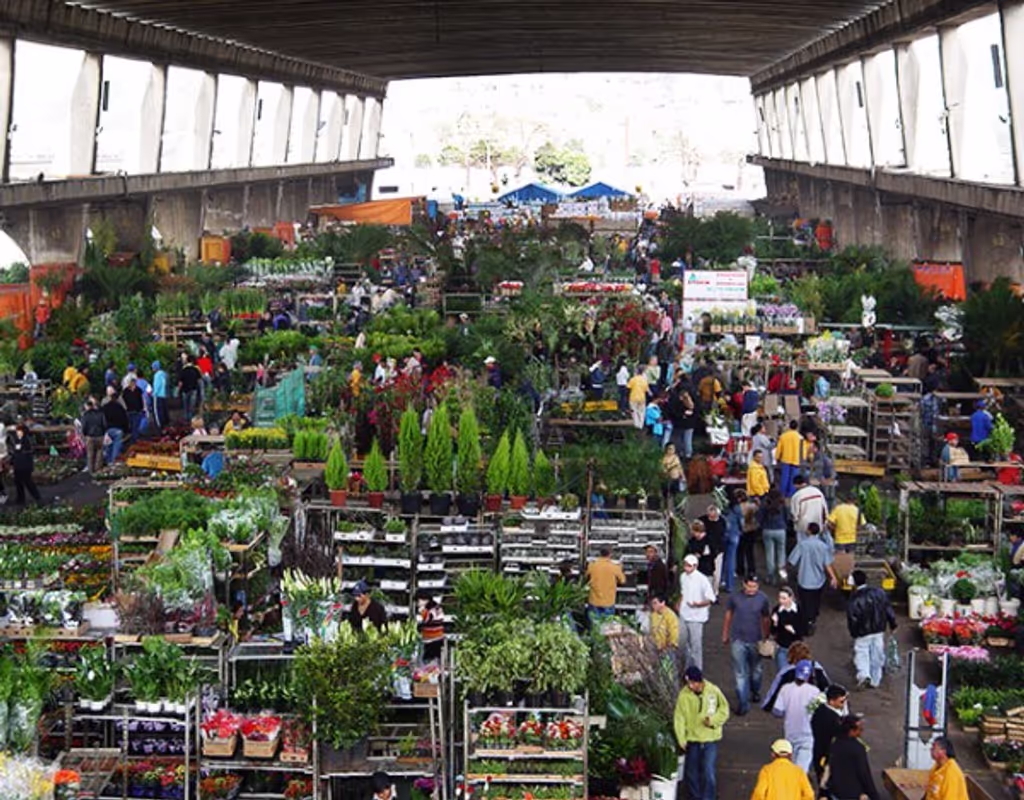 Sao Paulo Private Tour - 