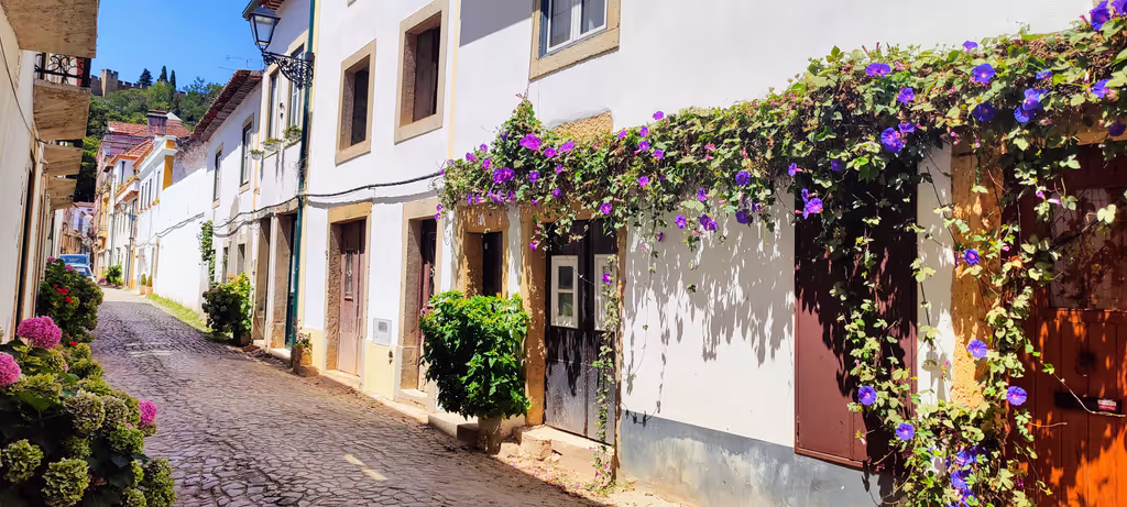 Tomar Private Tour - 