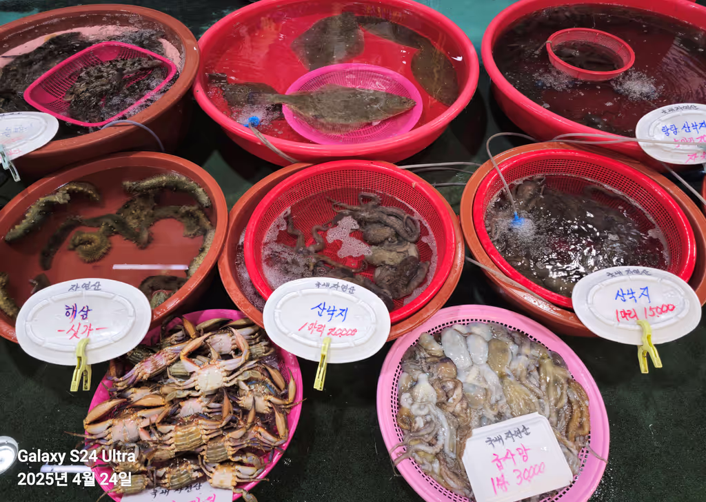 Seoul Private Tour - Fish market