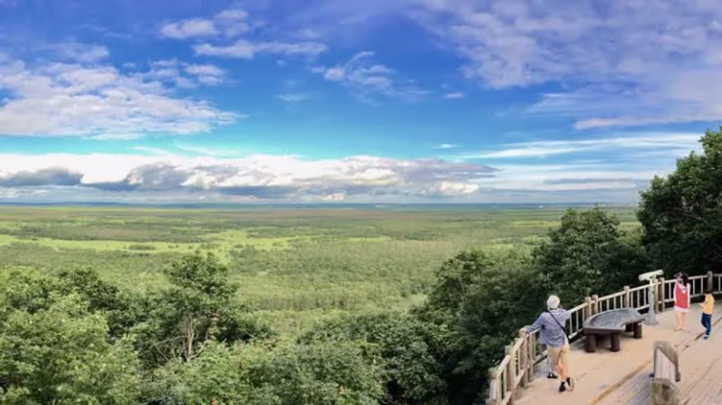 Hokkaido Private Tour - Vast view of Kushiro Marshland