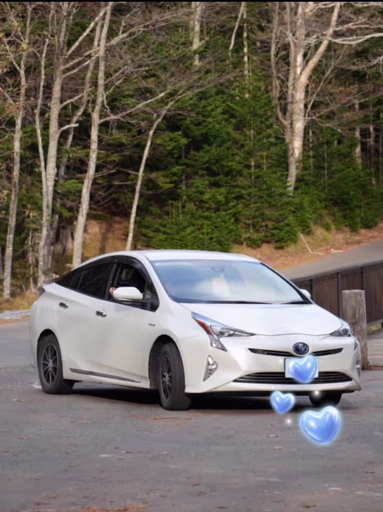 Hokkaido Private Tour - My car, Toyota Prius