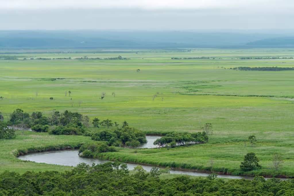 Hokkaido Private Tour - Kushiro Shitsugen National Park