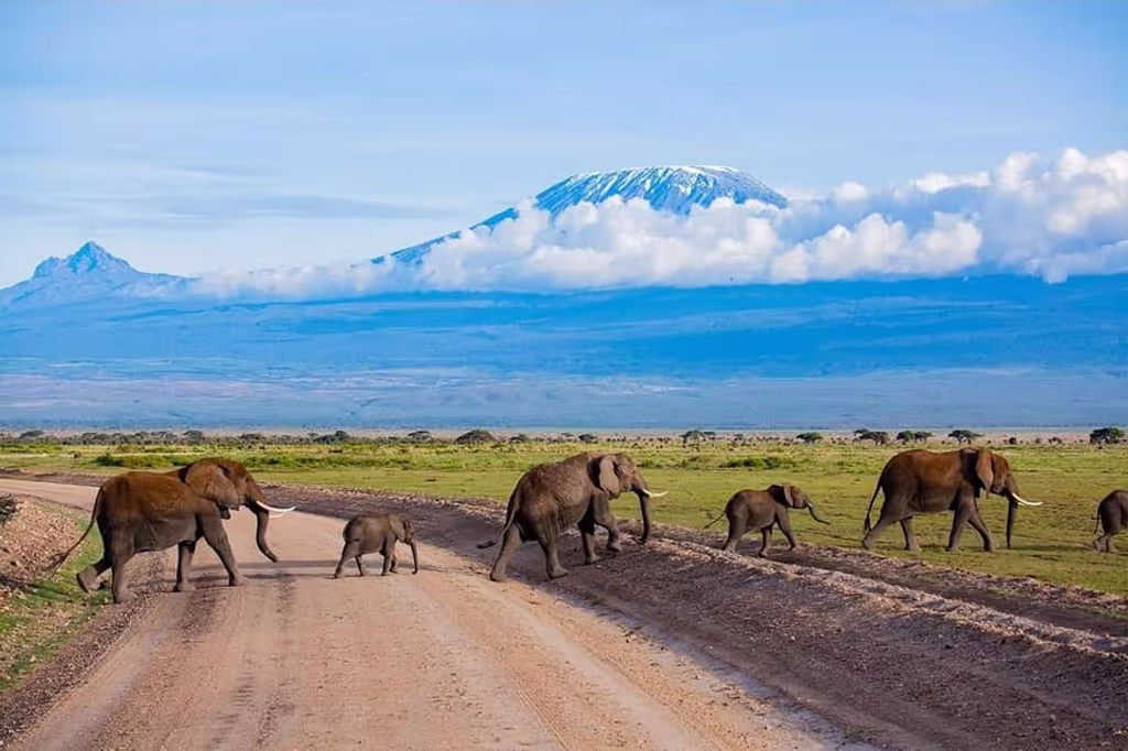 Nairobi Private Tour - 