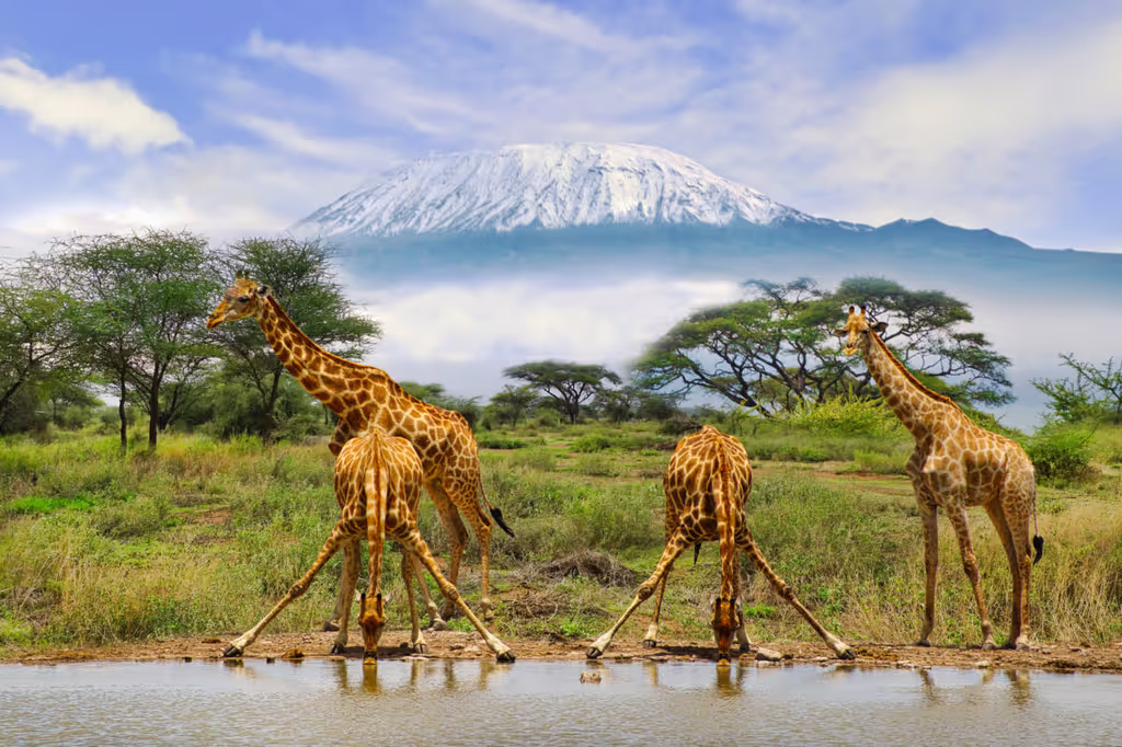 Nairobi Private Tour - 