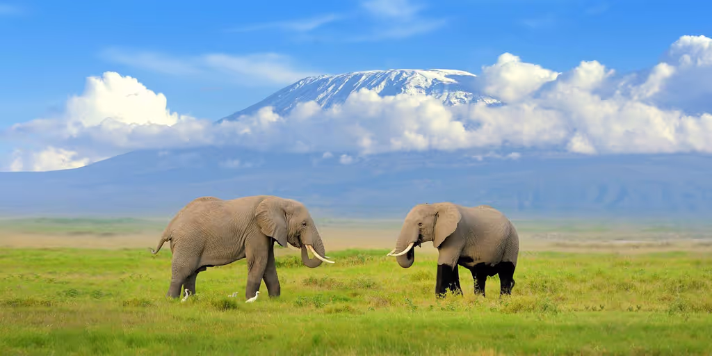 Nairobi Private Tour - 