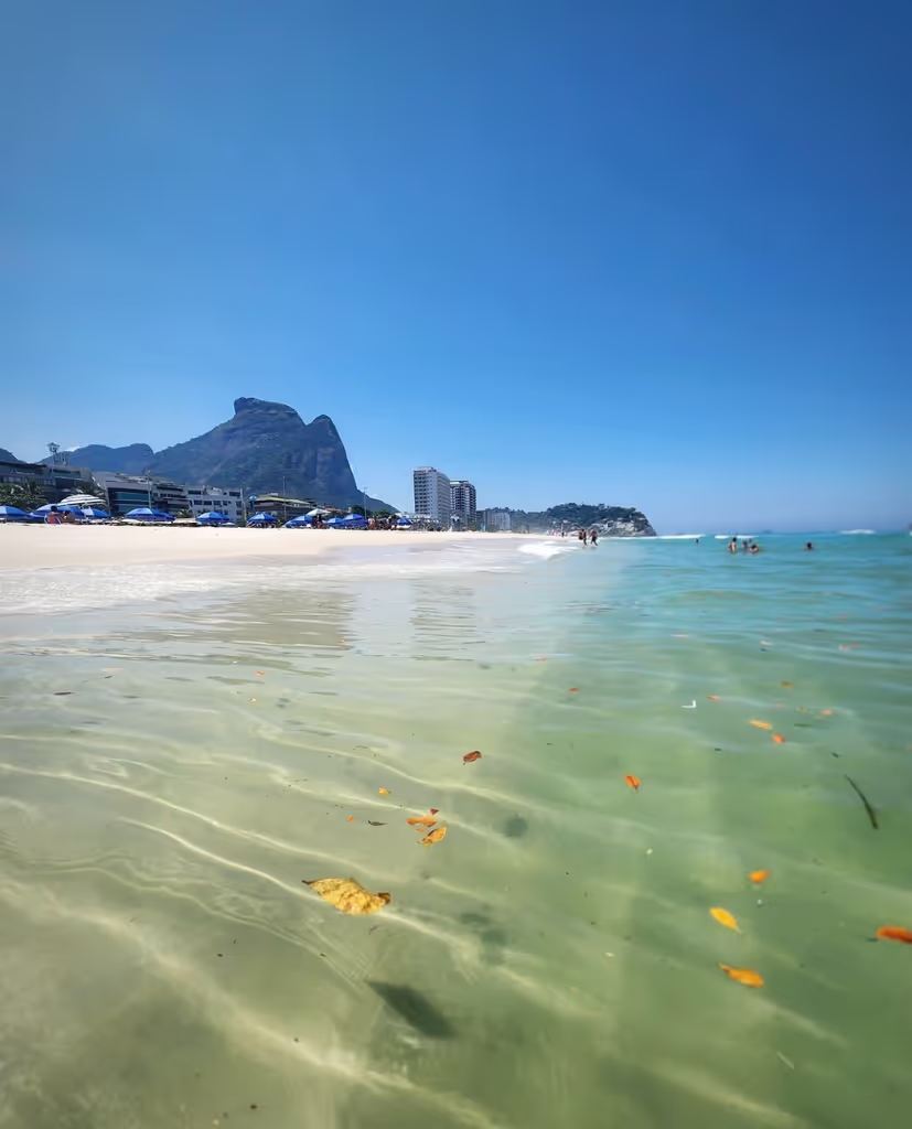 Rio de Janeiro Private Tour - 