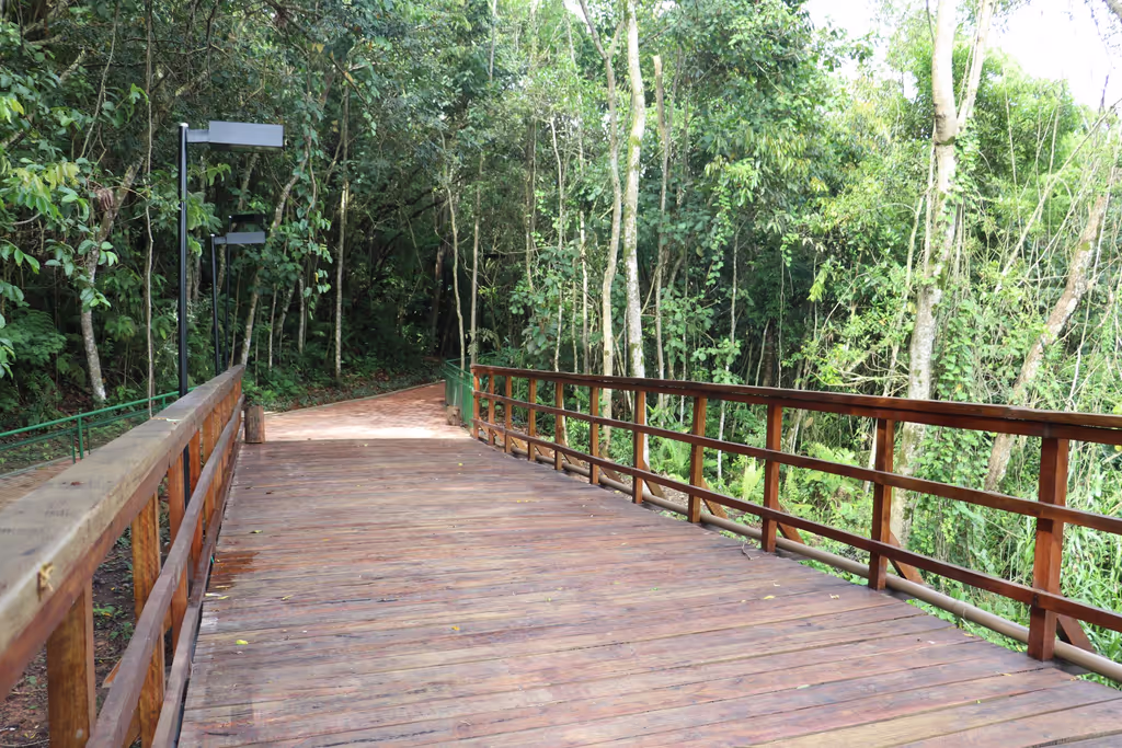 Sao Paulo Private Tour - 