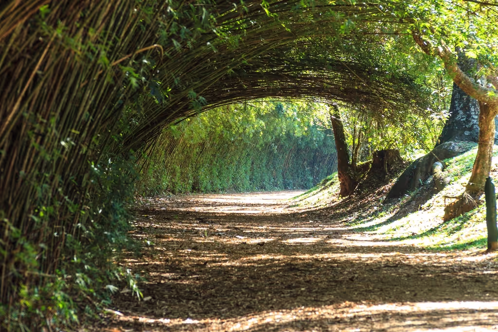 Sao Paulo Private Tour - 