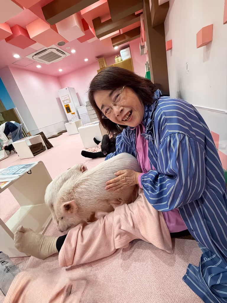 Tokyo Private Tour - micro pig cafe