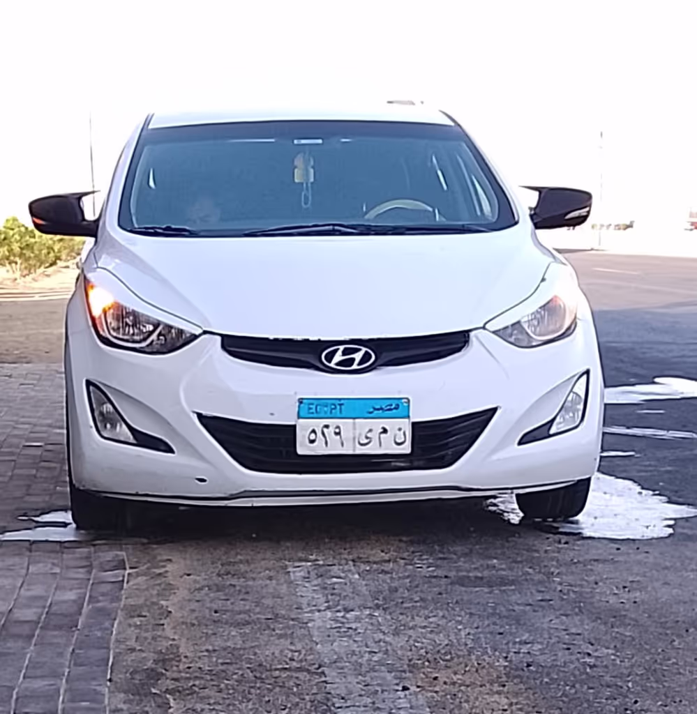 Minya Private Tour - 