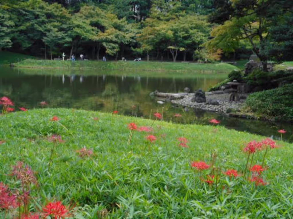 Tokyo Private Tour - Koishikawa Kourakuen Garden - Tokyo's most interesting and photogenic park