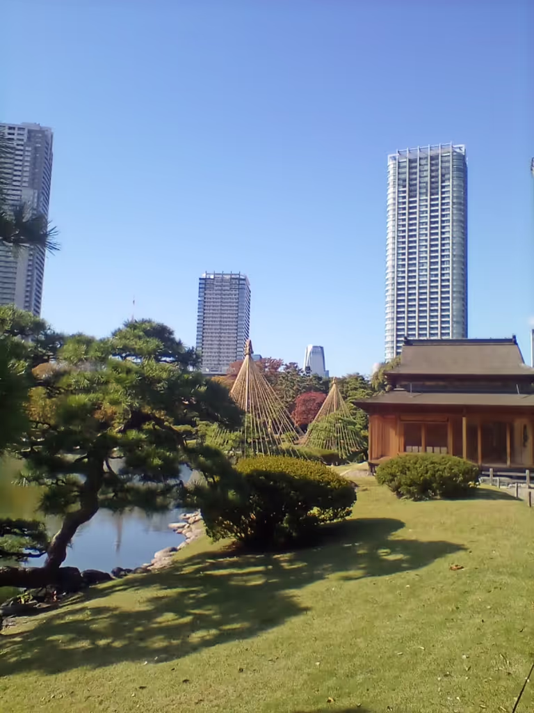 Tokyo Private Tour - Take a step into this beautiful garden in Edo-period called Hamarikyu Garden