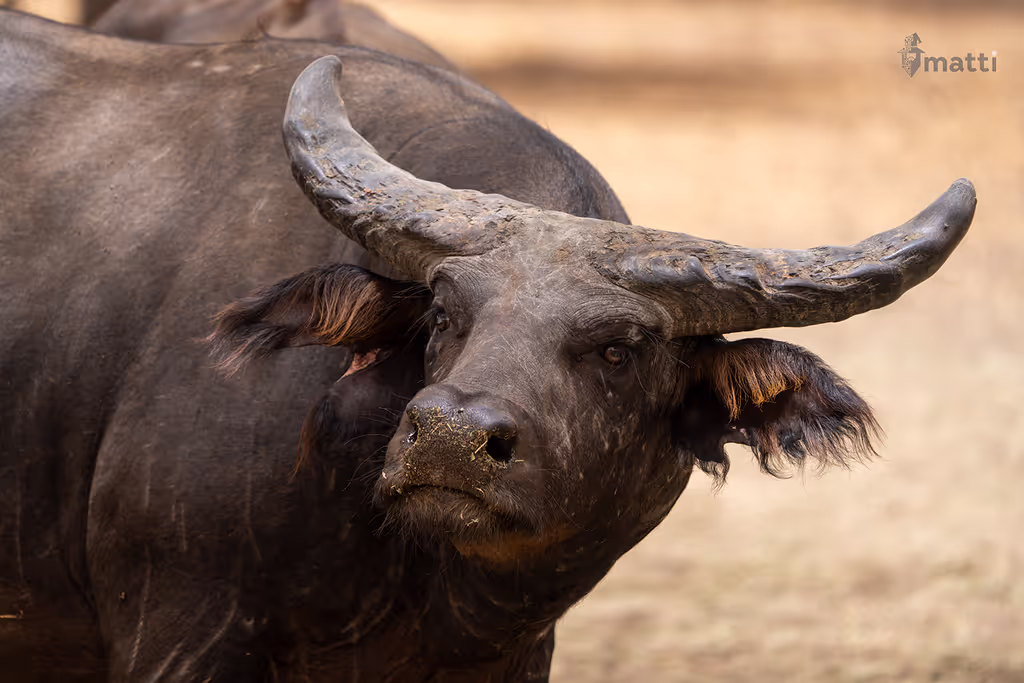Dakar Private Tour - 