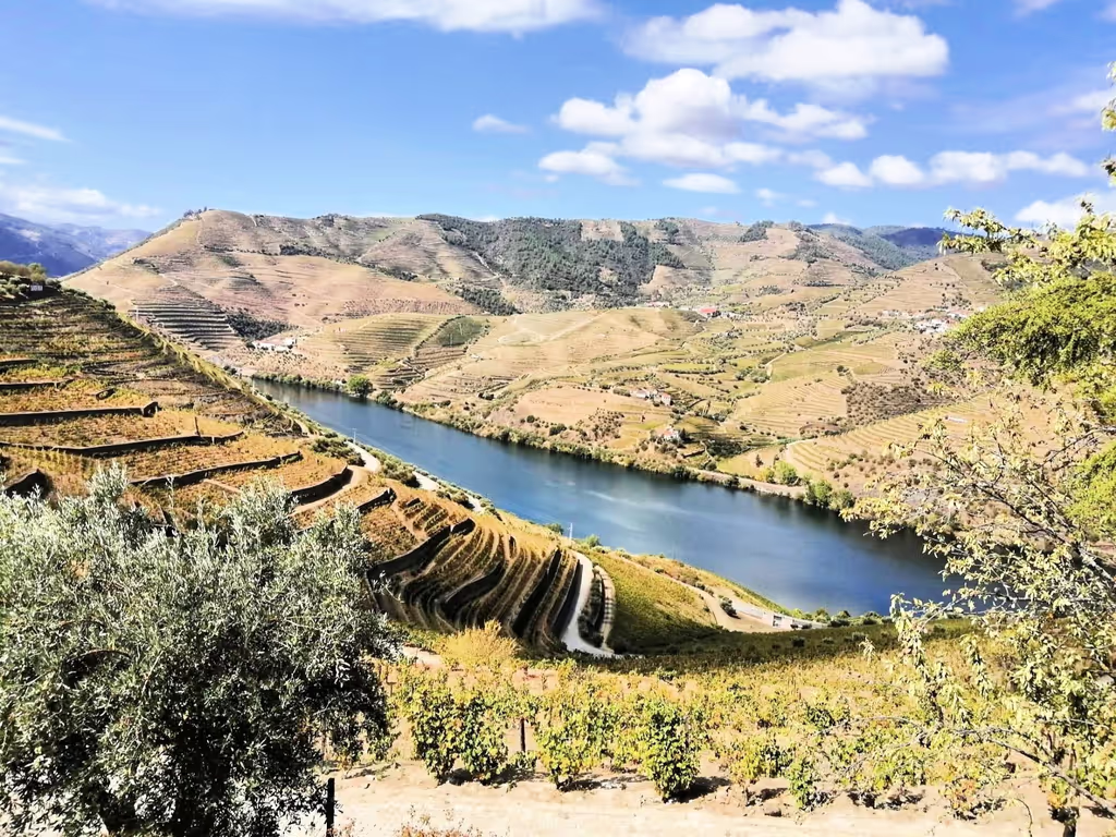 Lisbon Private Tour - Douro Valley