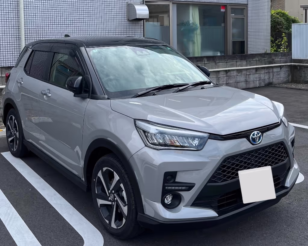 Tokyo Private Tour - Private vehicle