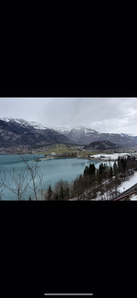 Zurich Private Tour - Lake Brienz