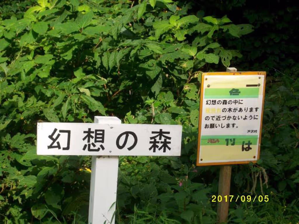 Yamagata Private Tour - Genso-no-Mori, Fantasy  Forest
