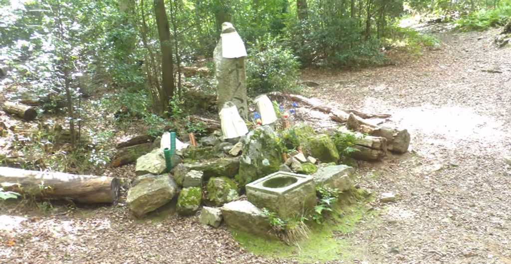 Kyoto Private Tour - Uphill mountainpath