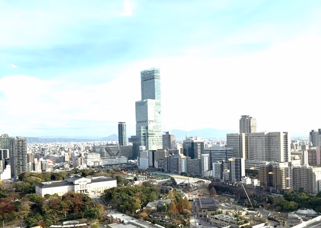 Osaka Private Tour - View from Tsutenkaku tower