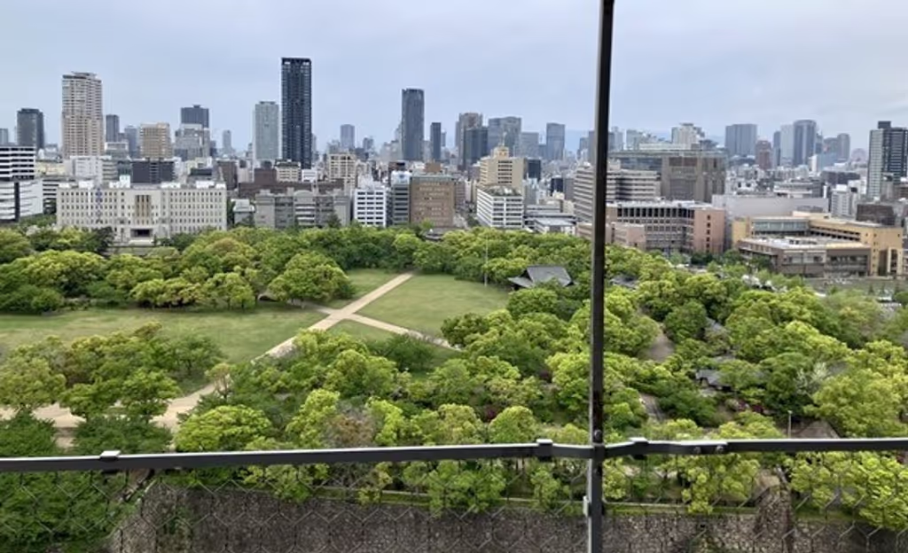 Osaka Private Tour - View from Osaka Castle Tower