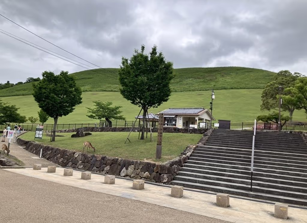 Nara Private Tour - Mt. Wakakusa