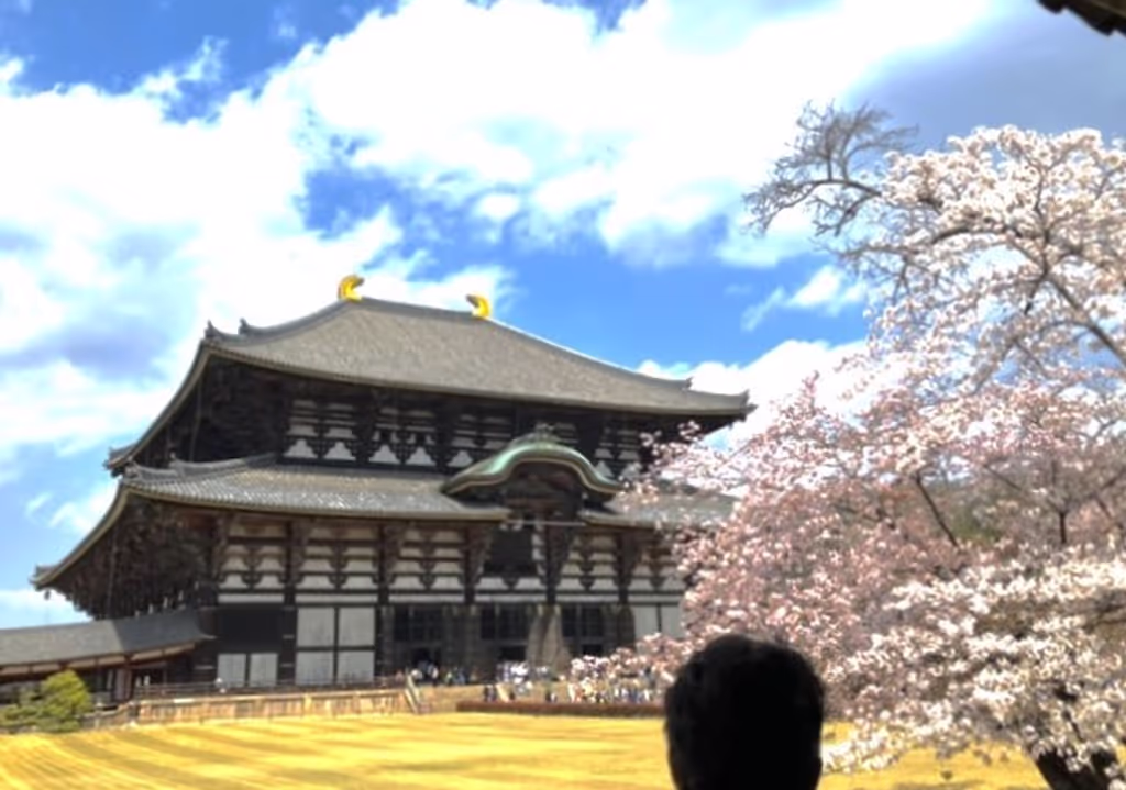 Nara Private Tour - Cherry Blossoms in Great Buddha Hall