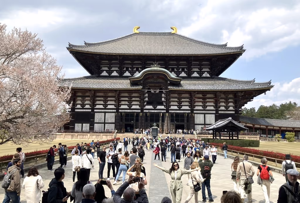 Nara Private Tour - Great Buddha Hall with cherry blossoms