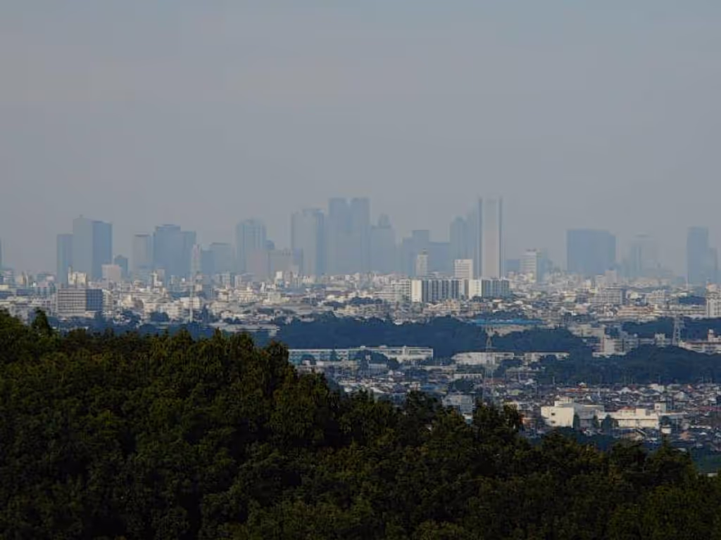 Kanagawa Private Tour - View of Shinjuku from Mt. Masugata