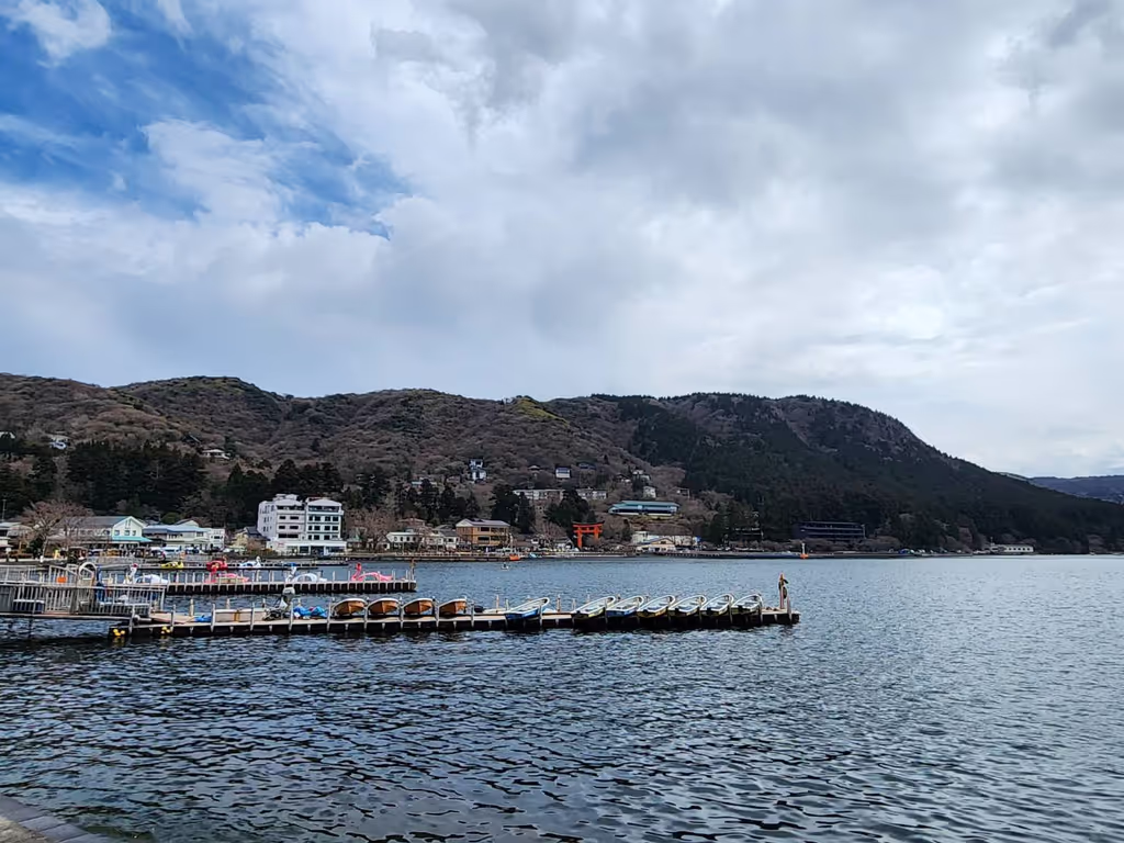 Hakone Private Tour - Ashi-See