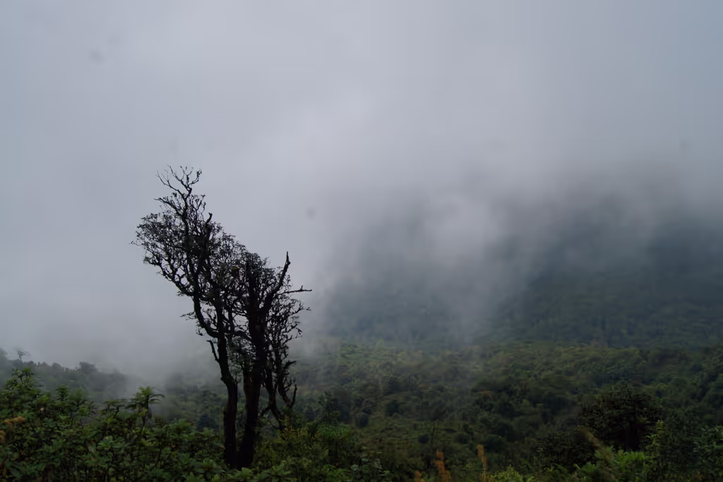 Chiang Mai Private Tour - Kew Mae Pan Nature Trail (Nov–May only)