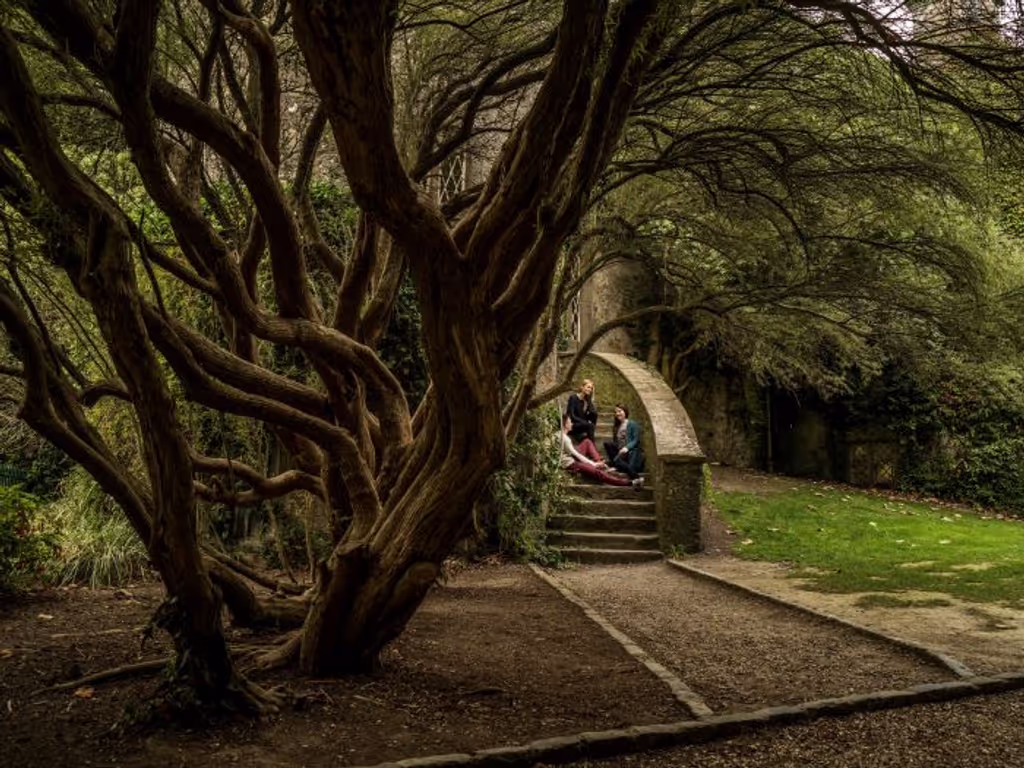 Dublin Private Tour - Malahide Parkland