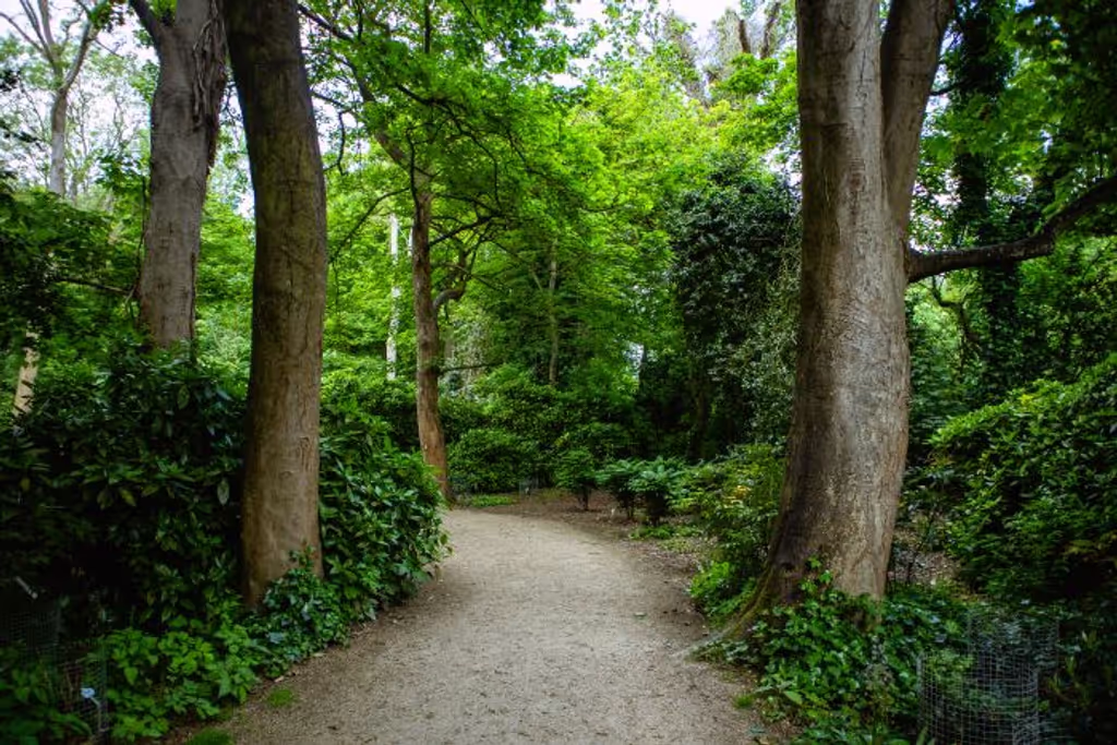 Dublin Private Tour - Malahide Parkland