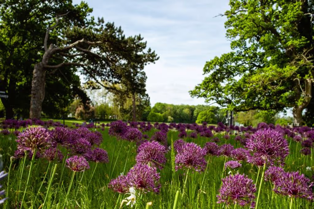 Dublin Private Tour - Malahide Parkland