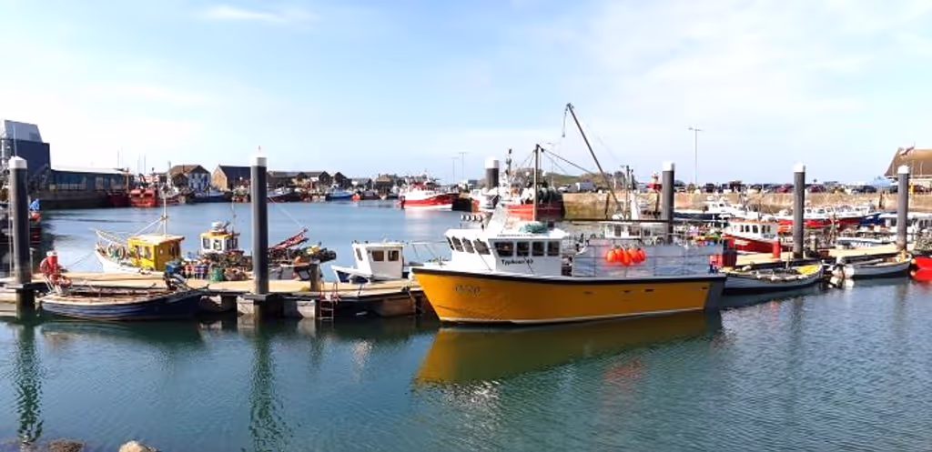 Dublin Private Tour - Howth Harbour