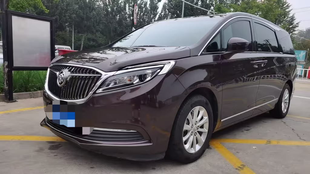 Beijing Private Tour - 7 seater Buick van