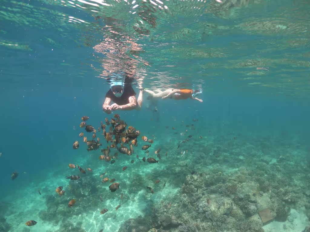 Lombok Private Tour - The fishs