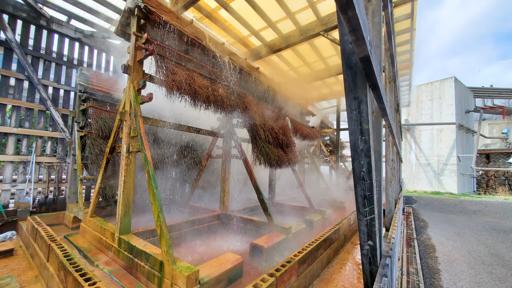 Oita Private Tour - Learning the tradition with hot springs