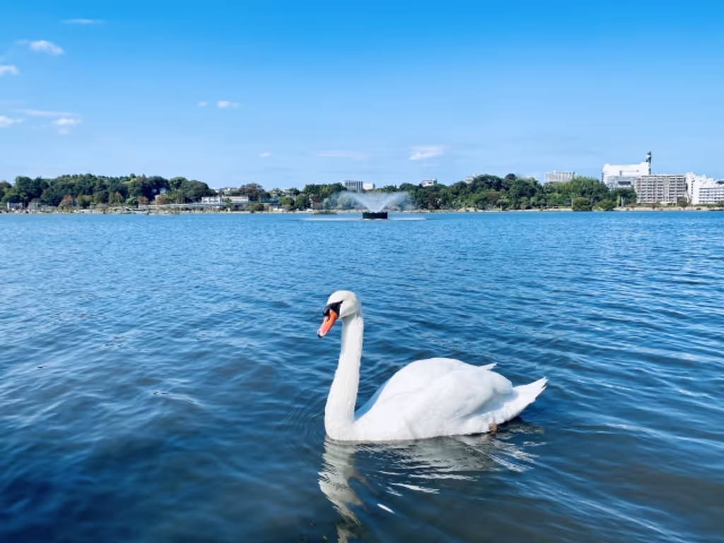 Ibaraki Private Tour - Senbako lake