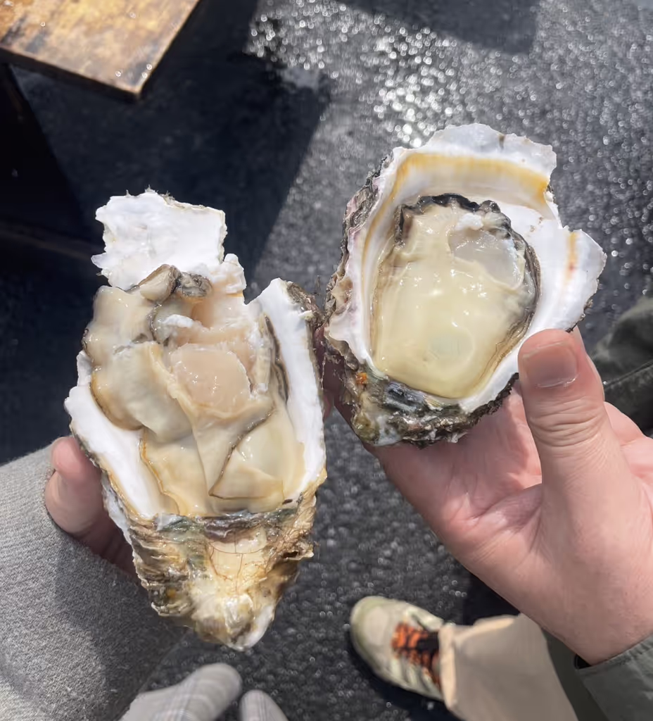 Ibaraki Private Tour - Oyster at Nakaminato fish market