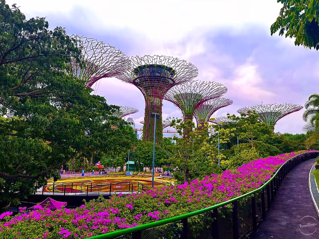 Singapore Private Tour - Garden by the bay