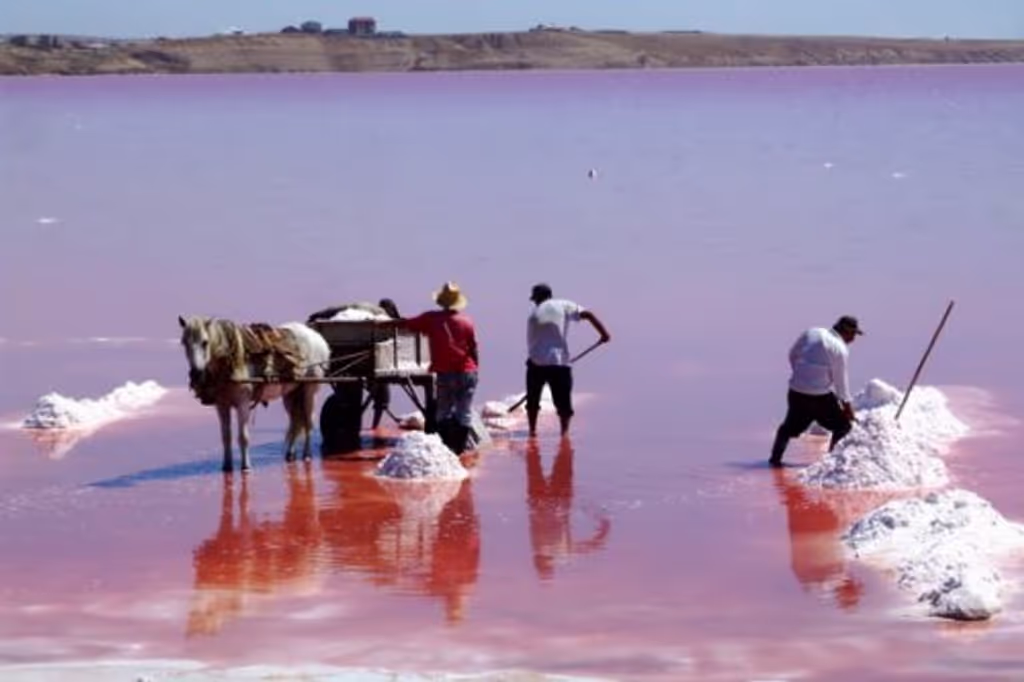 Baku Private Tour - Pink lake - Masazir