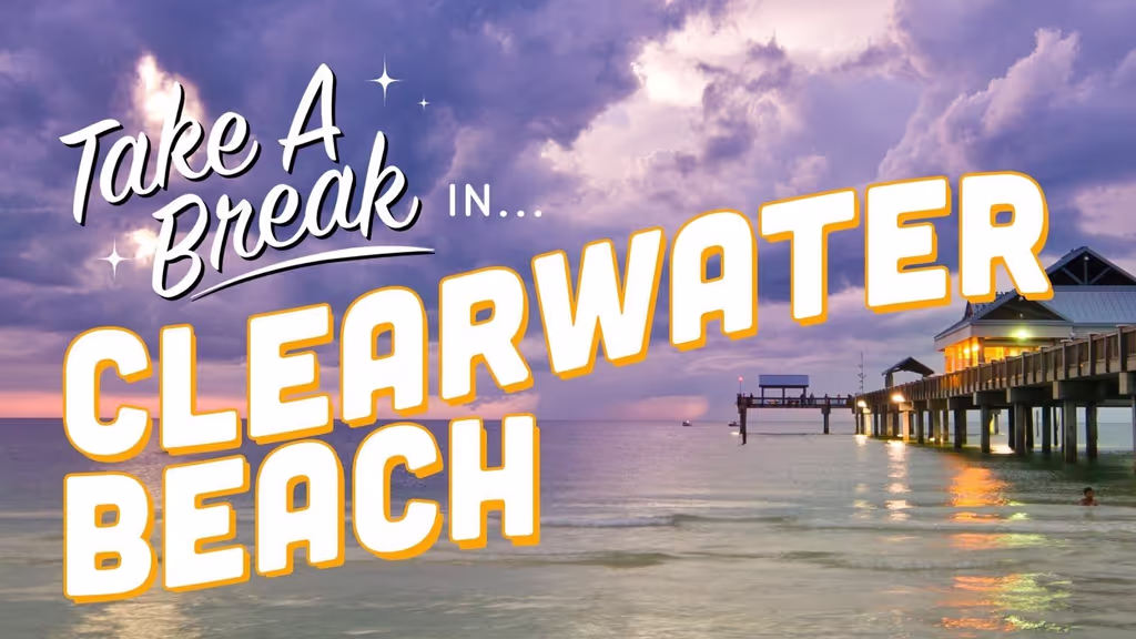 Tampa Bay Private Tour - 