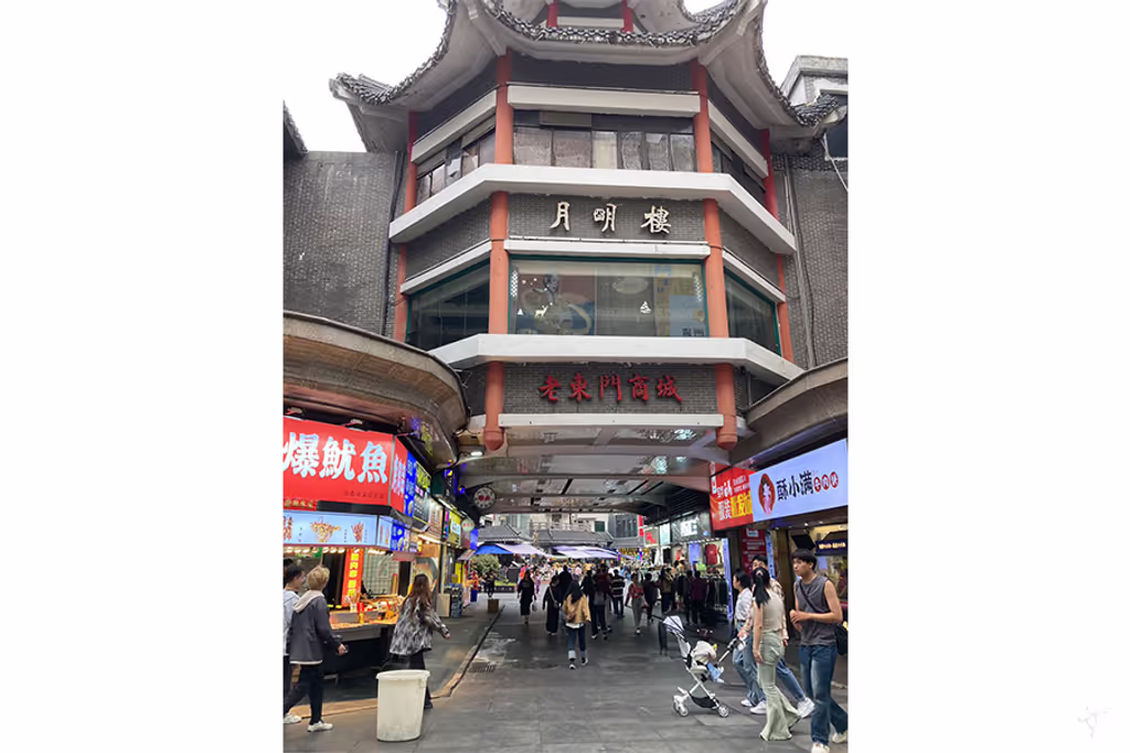 Shenzhen Private Tour - ‌Dongmen Pedestrian Street
