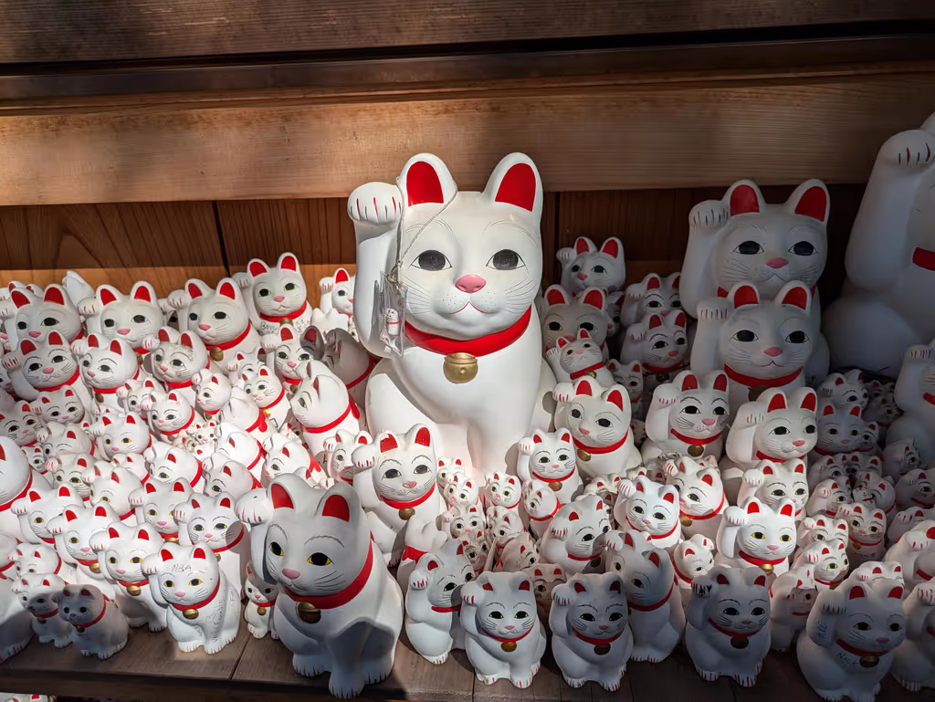 Tokyo Private Tour - Lucky Cats in Gotokuji Temple
