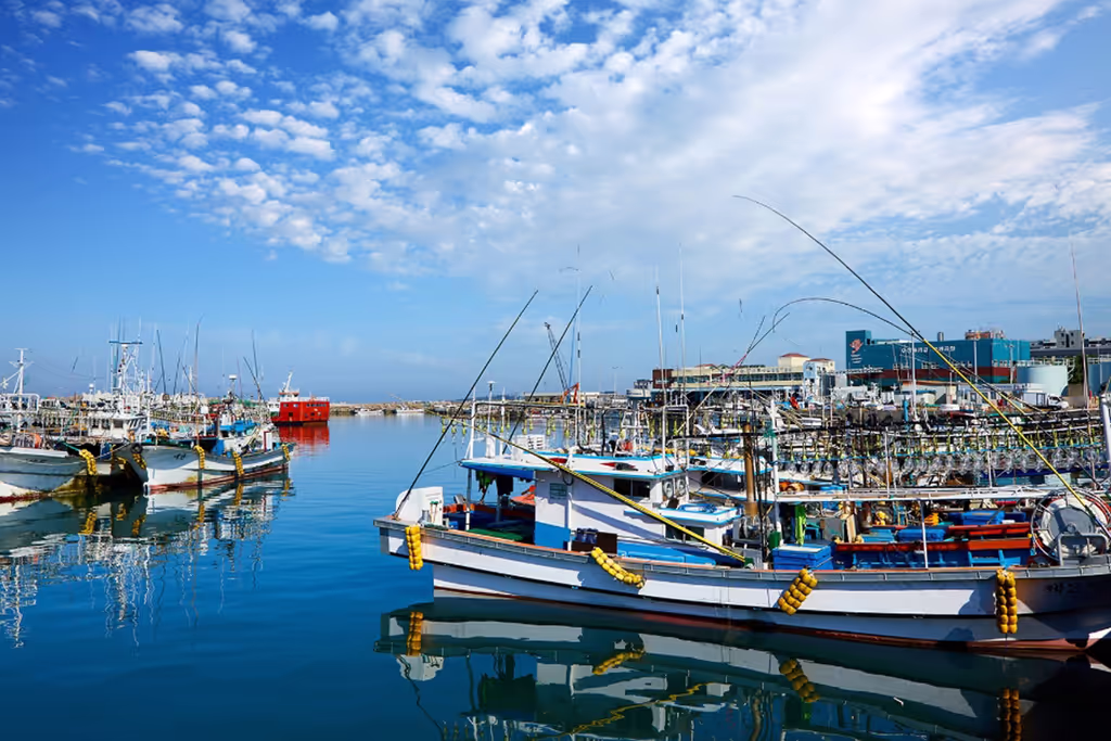 Jeju Private Tour - 
