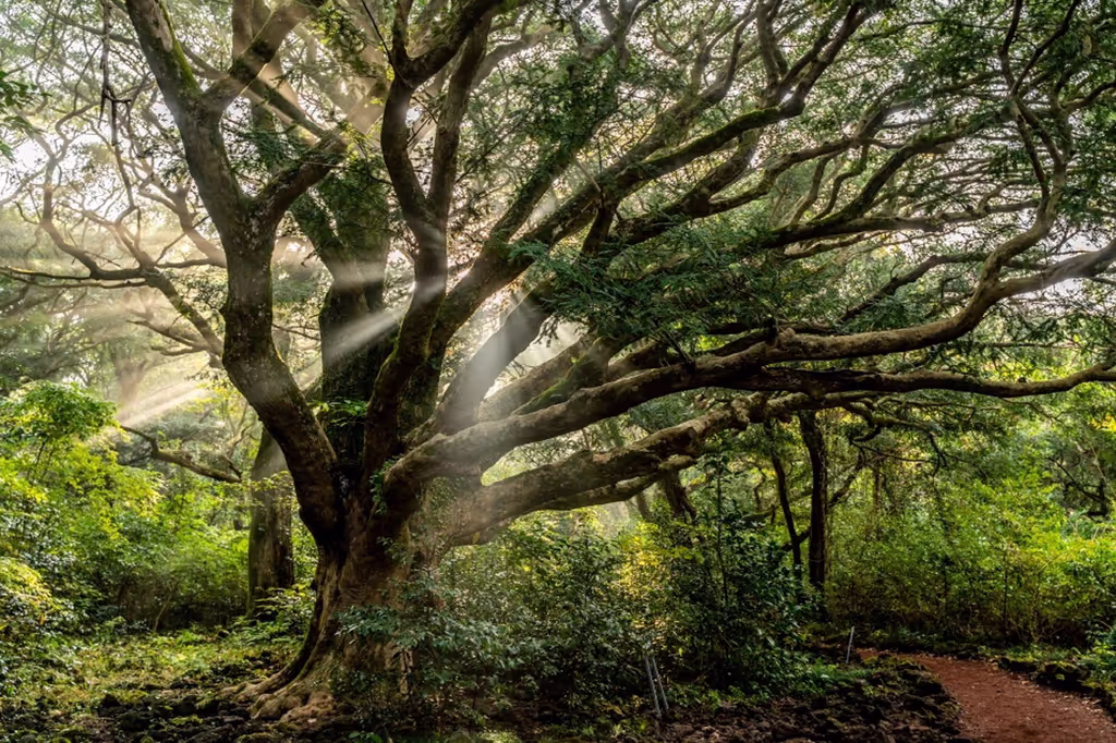Jeju Private Tour - 