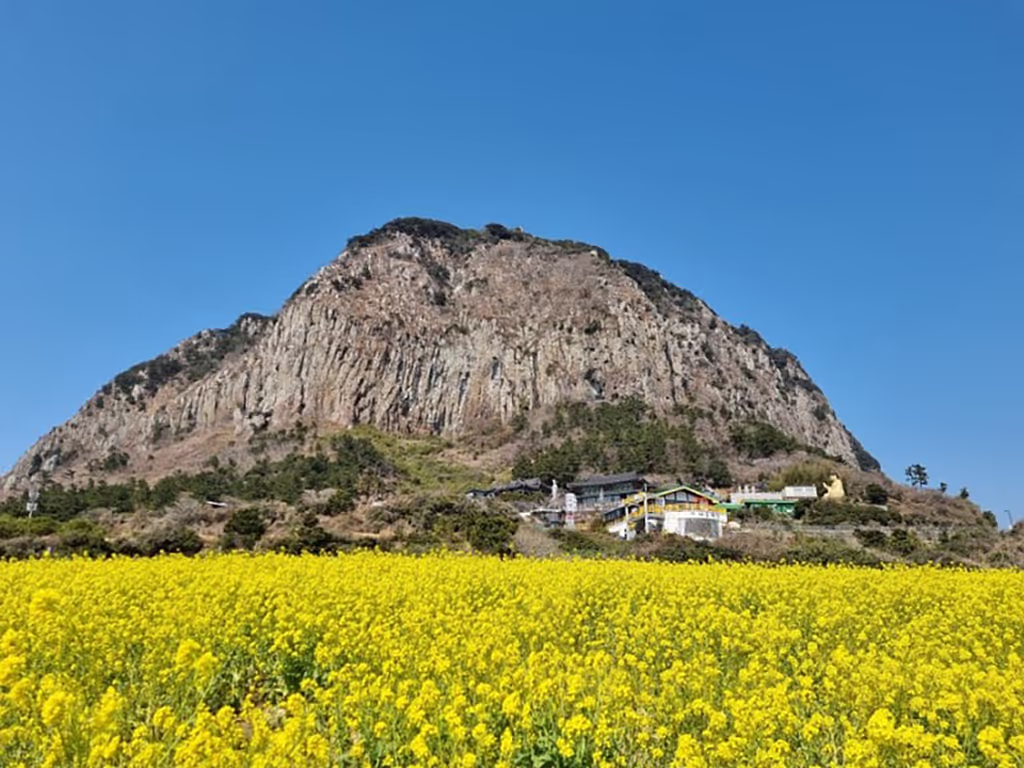 Jeju Private Tour - 