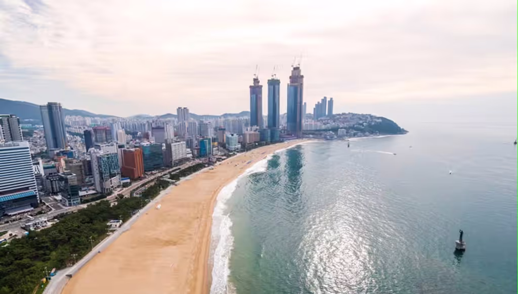 Busan Private Tour - 