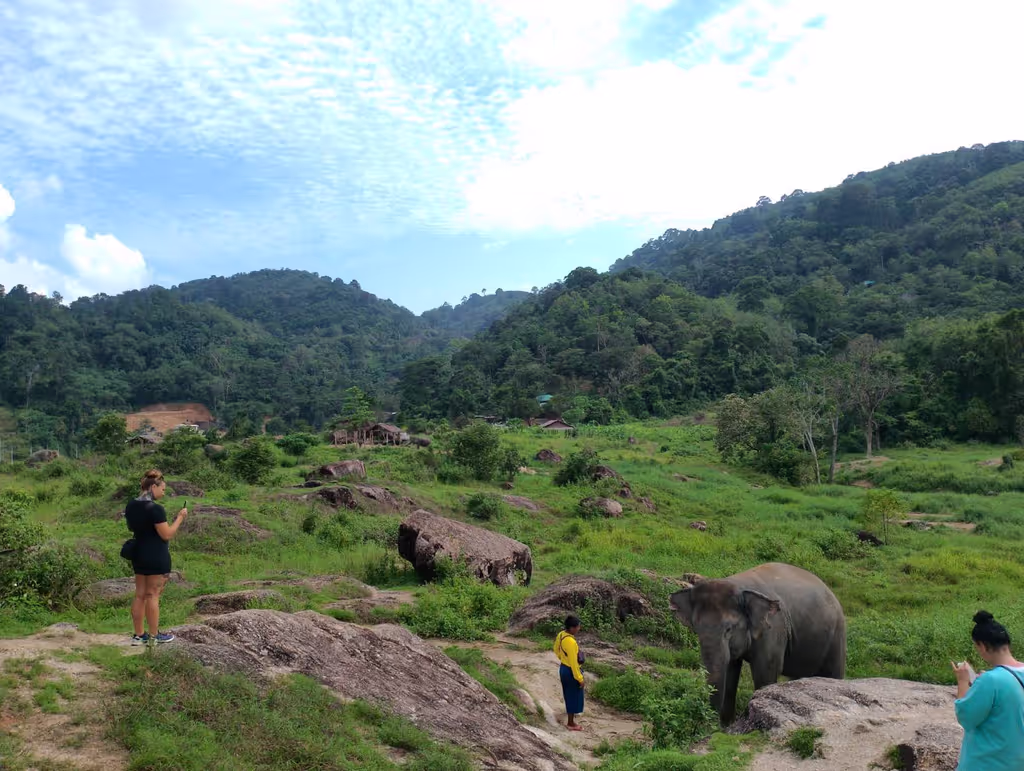 Phuket Private Tour - 